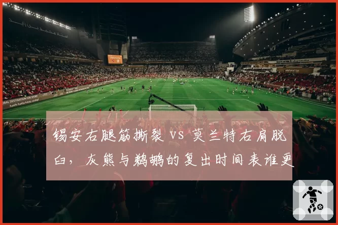 锡安右腿筋撕裂 vs 莫兰特右肩脱臼，灰熊与鹈鹕的复出时间表谁更悲观