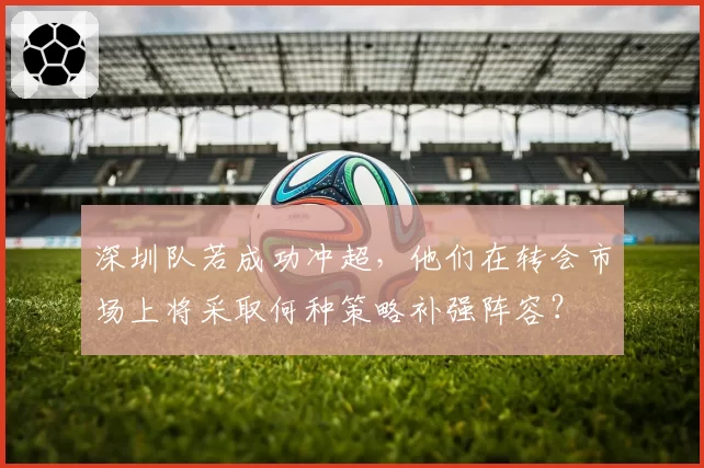 深圳队若成功冲超，他们在转会市场上将采取何种策略补强阵容？