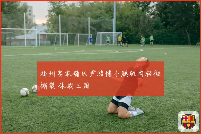 梅州客家确认尹鸿博小腿肌肉轻微撕裂 休战三周